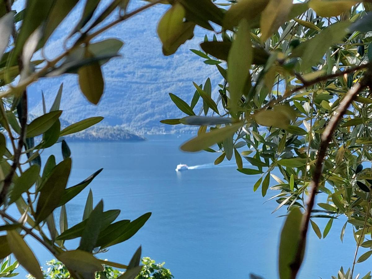 Casa Vacanze Perla Del Lago Domaso Eksteriør billede