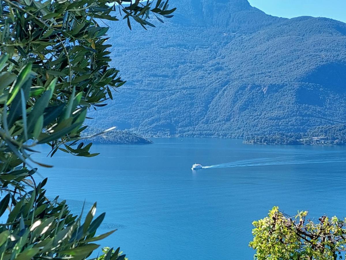 Casa Vacanze Perla Del Lago Domaso Eksteriør billede