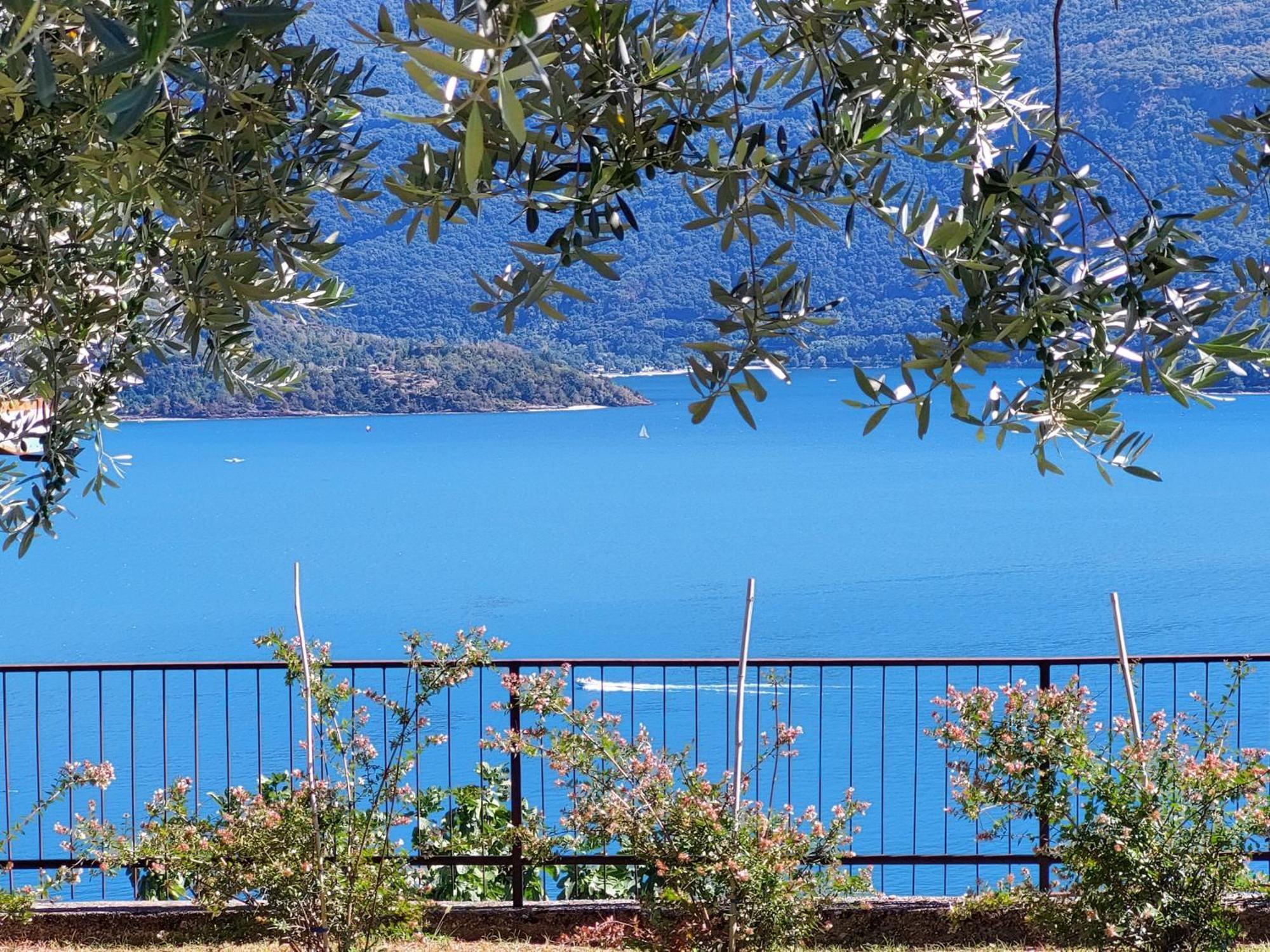 Casa Vacanze Perla Del Lago Domaso Eksteriør billede