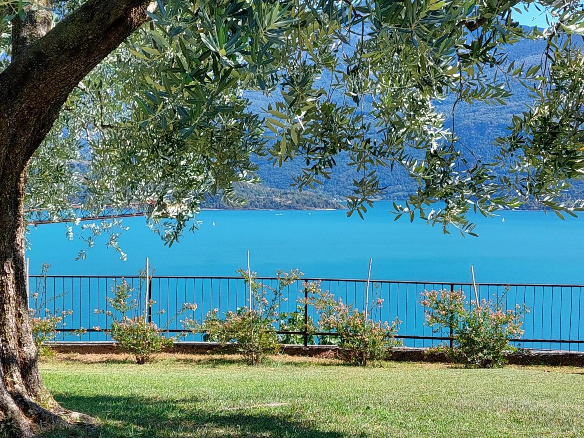 Casa Vacanze Perla Del Lago Domaso Eksteriør billede